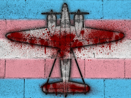 Graffiti of the "survivorship bias airplane" meme, with the plane painted onto a cinderblock wall over a background of the trans flag, the red dots that indicate hit locations that did not result in the loss of an aircraft painted in drippy, splattered red that evokes the image of bloody gunshot wounds.