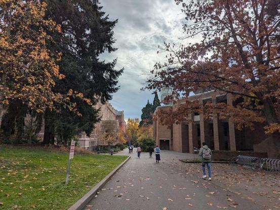 A pedestrian road with trees and pretty buildings on either side. A number of students are allowing walking among the fall leaves. There are some large satellite dishes on the building on the right of the photo, though they are partially obscured by a tree.