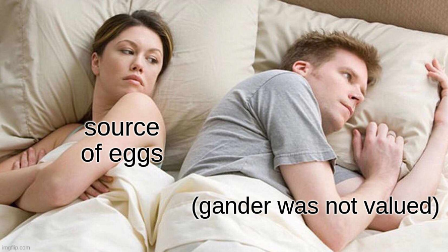 a man and woman in bed. it's a meme template.

woman captioned: source of eggs
man captioned: (gander was not valued)