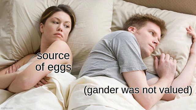 Posted media