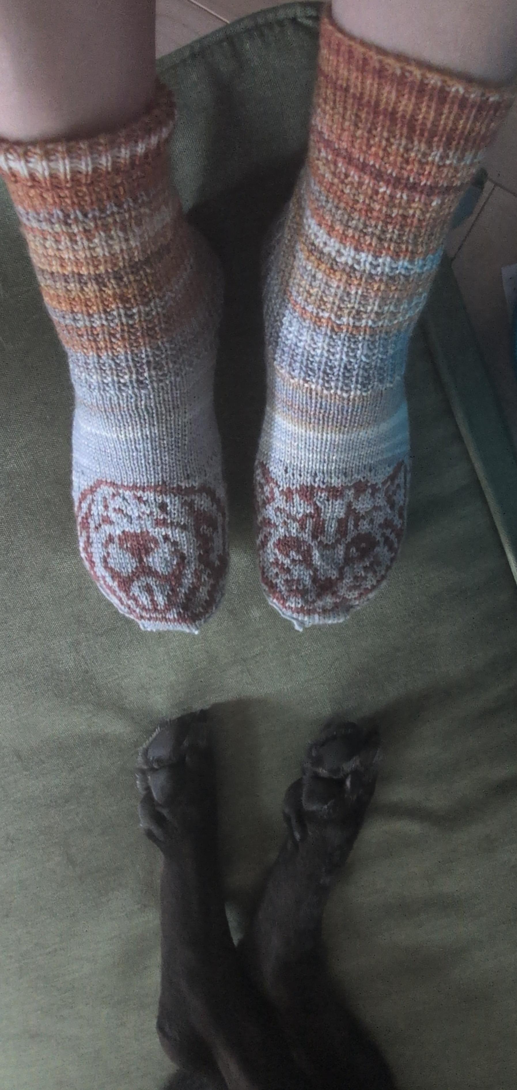 Handknitted socks with a cat face on one toe and a dog face on the other toe. Below them are actual dog toes where my dog is sleeping in my office.